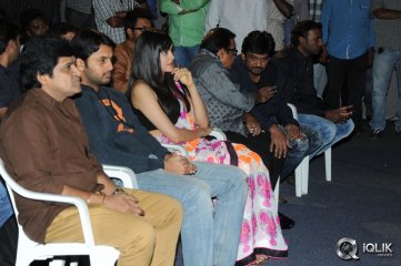Heart Attack Audio Success Meet